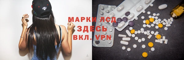 ПСИЛОЦИБИНОВЫЕ ГРИБЫ Баксан
