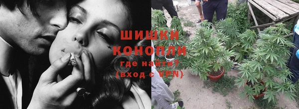 ПСИЛОЦИБИНОВЫЕ ГРИБЫ Баксан