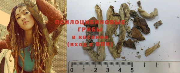 ПСИЛОЦИБИНОВЫЕ ГРИБЫ Баксан